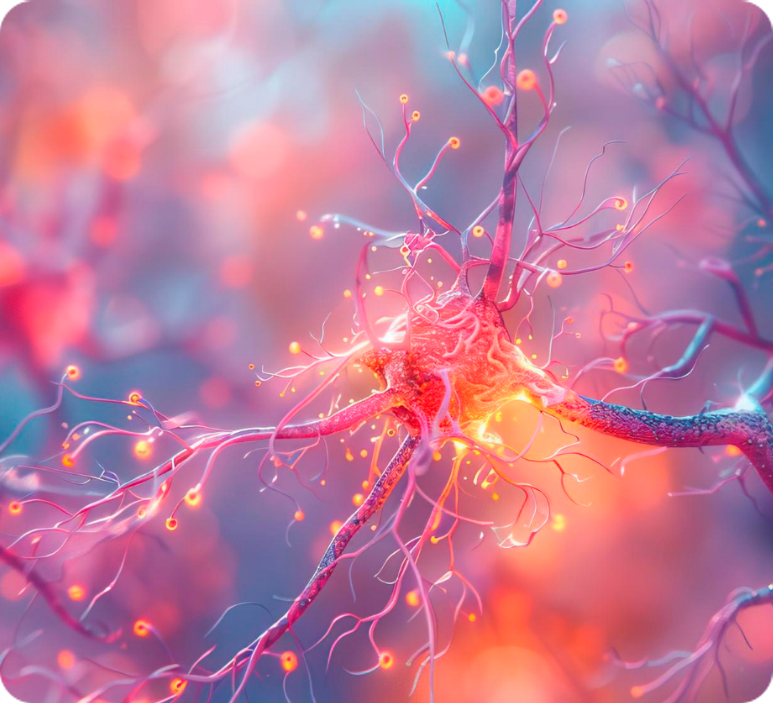 Advanced Stem Cell Therapy for Spinal Cord Injury in Mexico